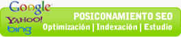 Posicionamiento Web orgánico