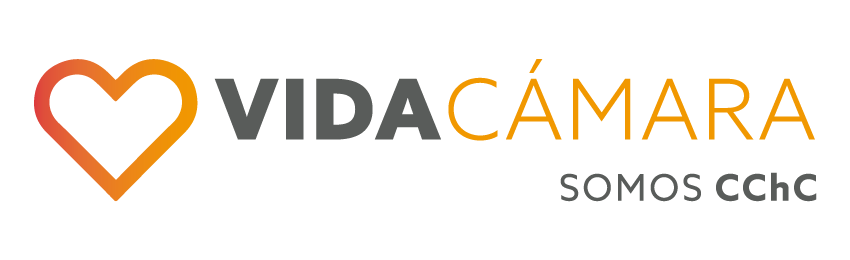 Logo Vida Cámara