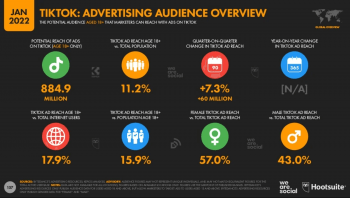 tiktok audience overview