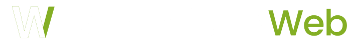 Mentalidad Web - Agencia de Marketing Digital